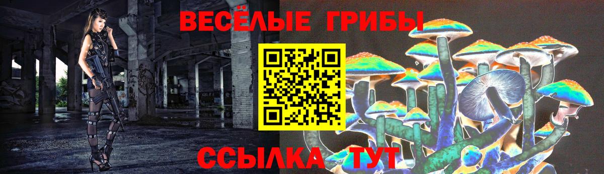 Галлюциногенные грибы GOLDEN TEACHER Краснокаменск